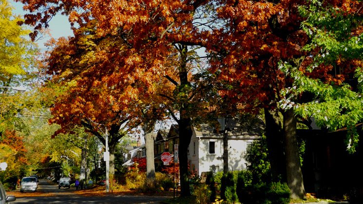 bloor west village real estate